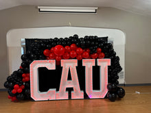 Load image into Gallery viewer, Event Decorating